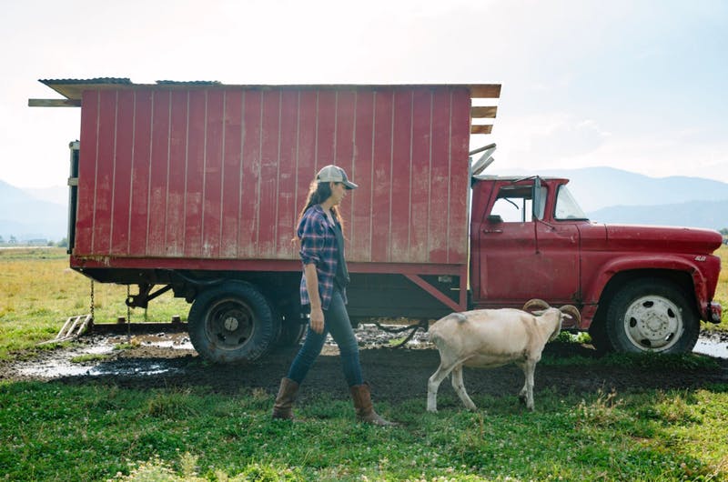 Mary Heffernan in pasture with red chicken truck